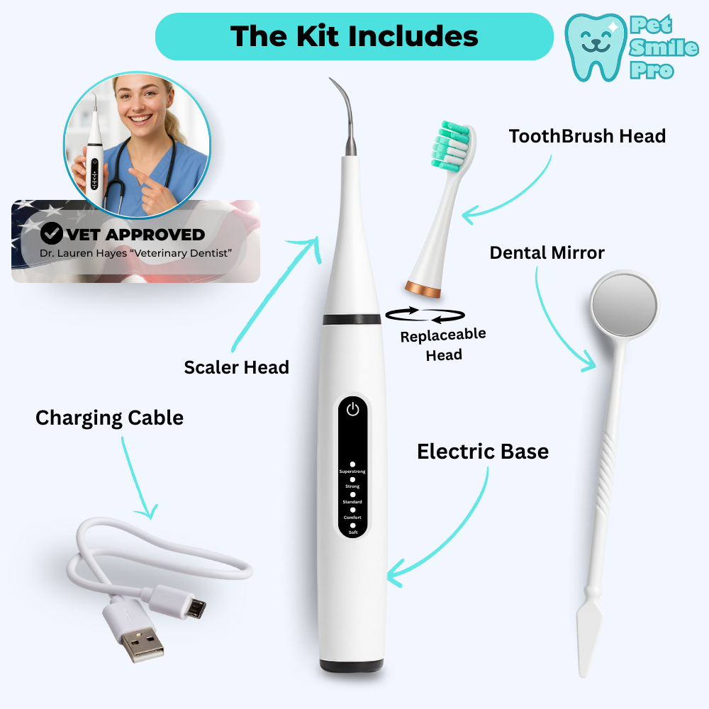 CleanBite™ Tartar Remover