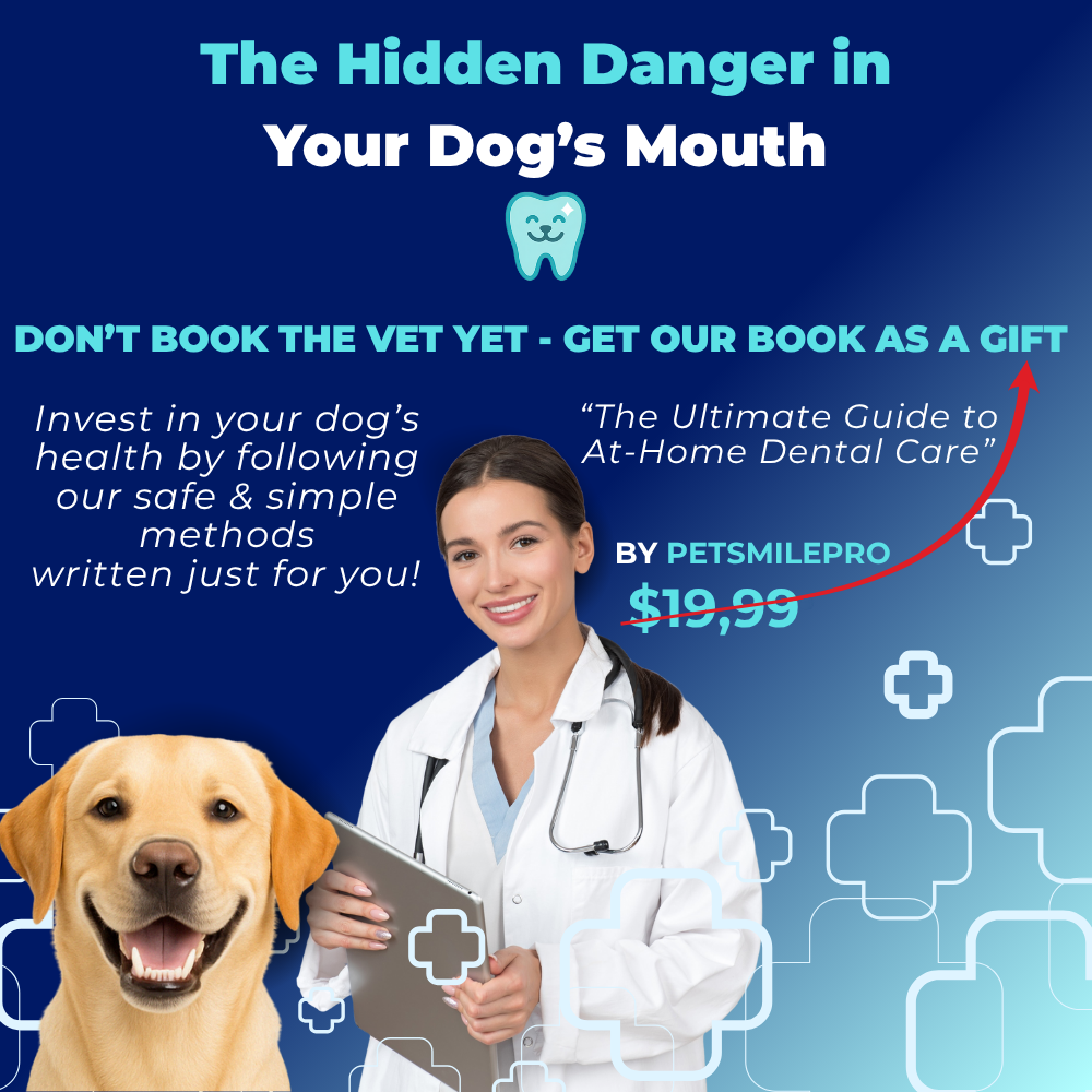CleanBite™ Tartar Remover