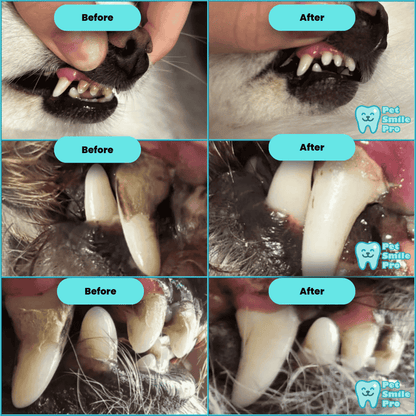CleanBite™ Tartar Remover