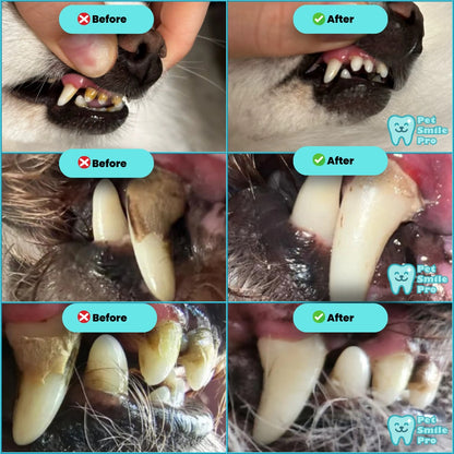 CleanBite™ Tartar Remover